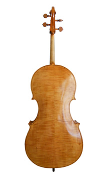 Stevan Rakić's master violoncello, back