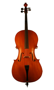Stevan Rakić's master violoncello, front