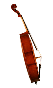 Stevan Rakić's master violoncello, side