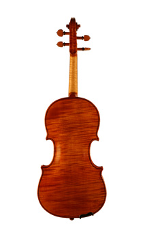 Violina Stevana Rakića izrađena 2010. od nazad