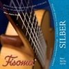 Žice za gitaru - Lenzner Fisoma Silber